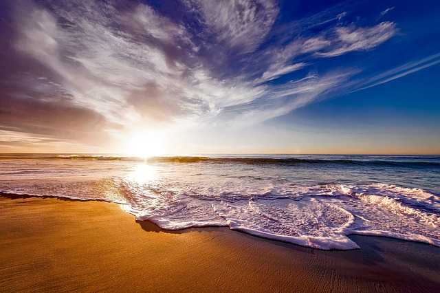 Exploring the Beauty of Beach Art