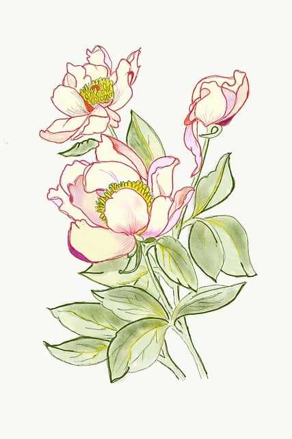 watercolor paintings flowers