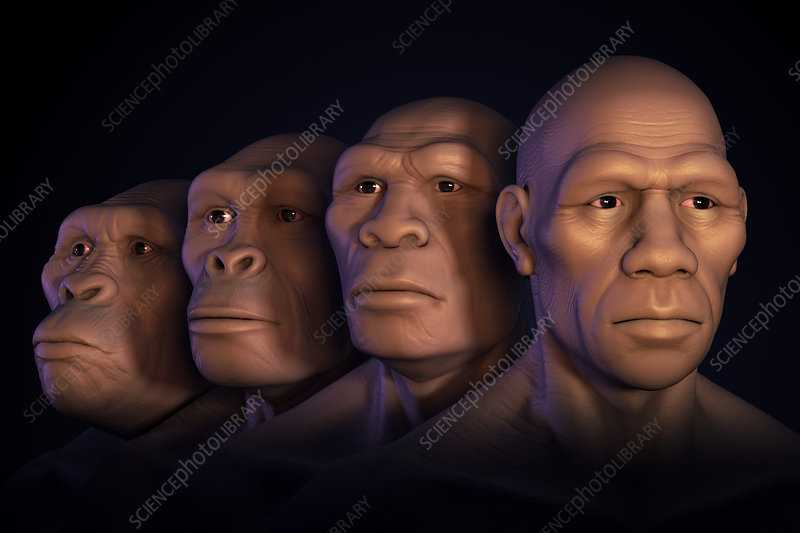 The Evolution⁤ of Auction Strategies in⁣ Modern Art