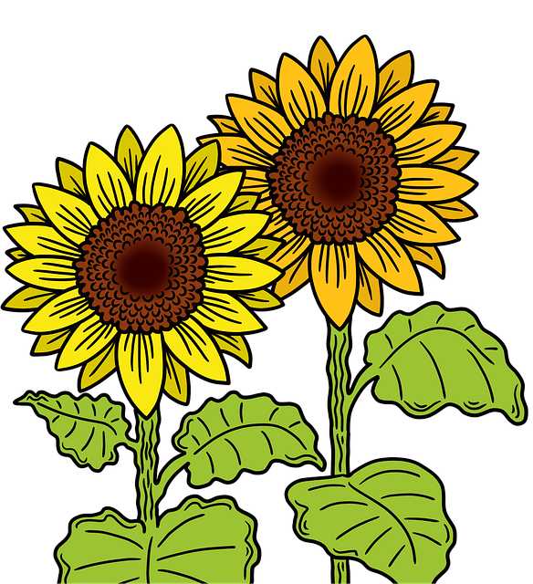 Inspiration Sources for Sunflower Art: From Nature to Impressionism