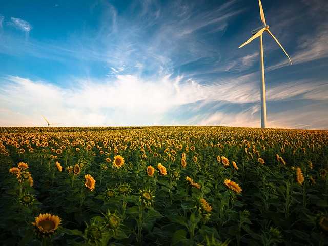Choosing the Right Materials for Your Sunflower Masterpiece