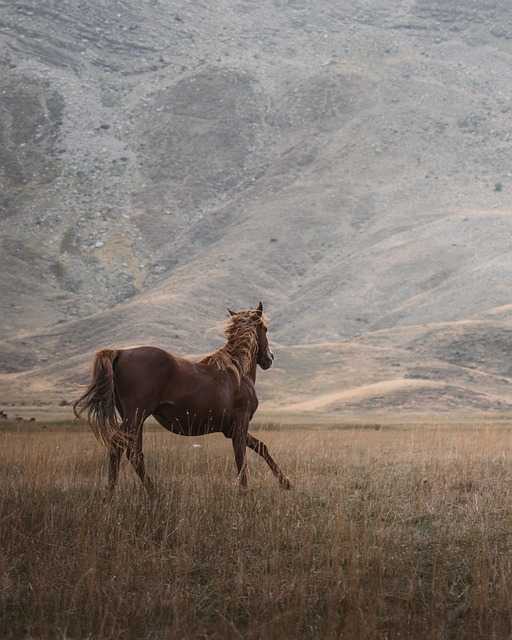 Movement ​and⁤ Experimentation within Modern Art in Spain