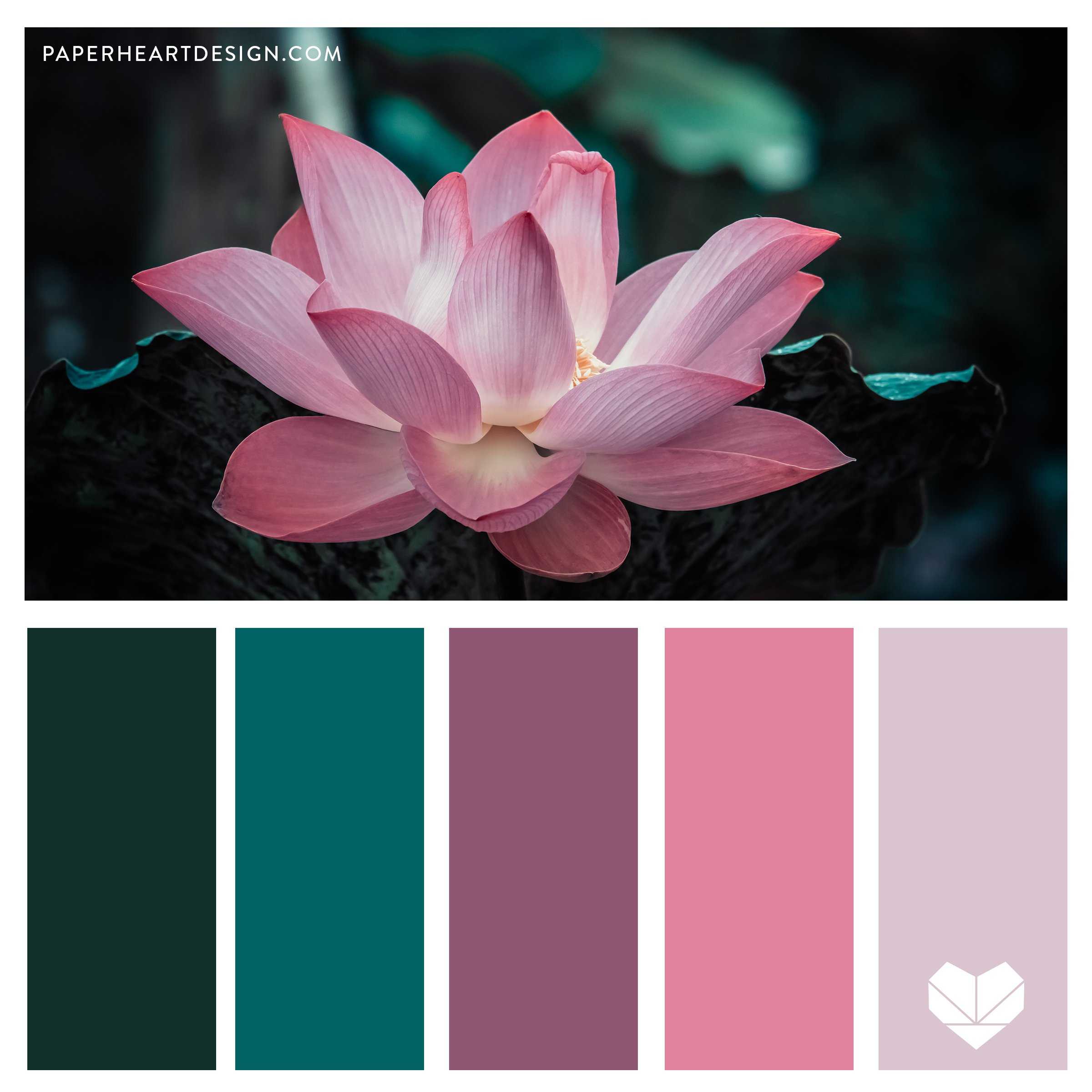 Choosing the Right Color Palette for Your Butterfly Artwork