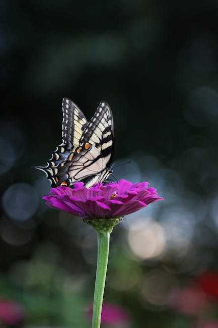 Incorporating Butterfly Themes ⁤into Home Decor ⁢and Design