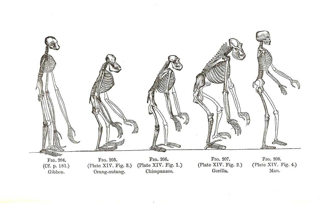 The Evolution of Readymade Art in Contemporary Society