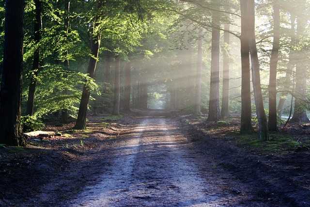 Understanding the Influence of Nature on Landscape Styles