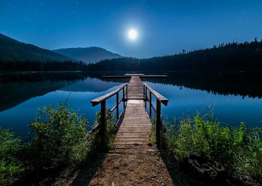 Exploring the Ethereal Beauty of Moonlight Art